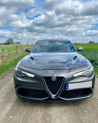 Alfa Romeo Giulia cena 209000 przebieg: 77000, rok produkcji 2018 z Świdnik małe 121